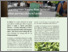 [thumbnail of Yap, Castroviejo - 2017 - Learning from Nature New forms of urban permaculture in Seville.pdf]